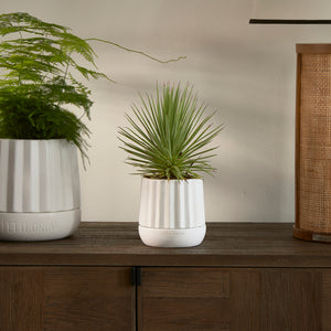 RM Let It Grow Planter S