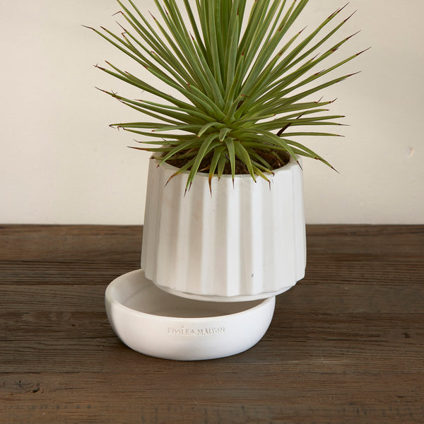 RM Let It Grow Planter S