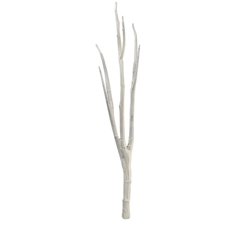 White Mitsumata Spray