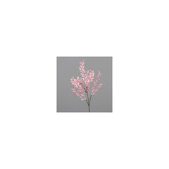 Ruscus spray, 50 cm, pink, 24/192