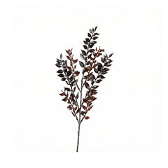 Brown Ruscus Spray (47 cm)