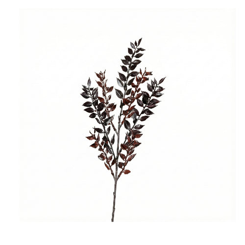 Brown Ruscus Spray (47 cm)