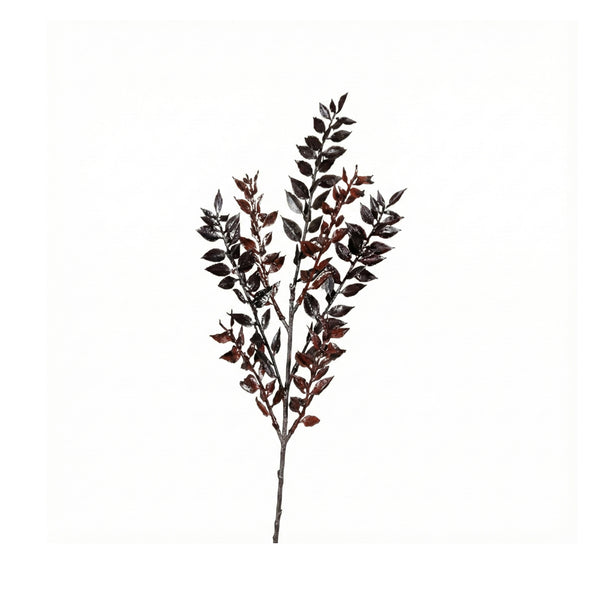 Brown Ruscus Spray (47 cm)