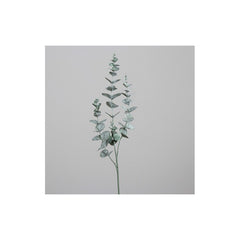 Eucalyptus, 76 cm, green, 24/192