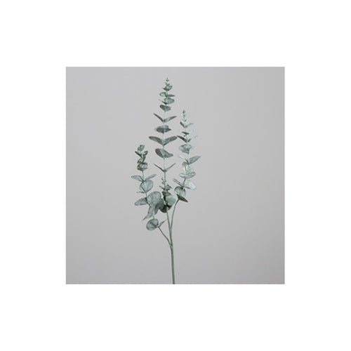 Eucalyptus, 76 cm, green, 24/192