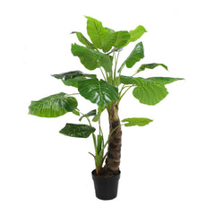 Philodendron Plant (140 cm)