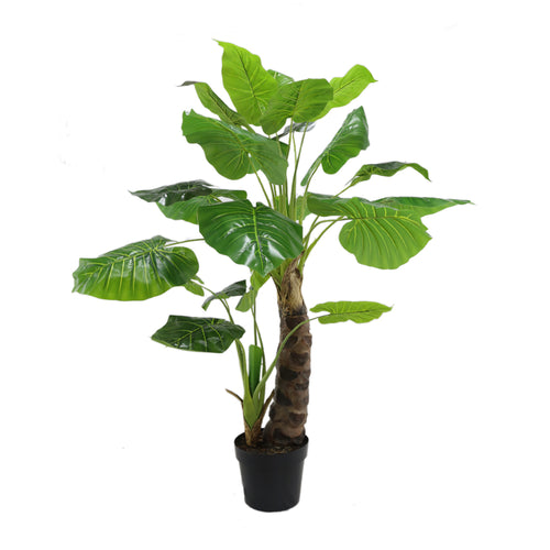 Philodendron Plant (140 cm)