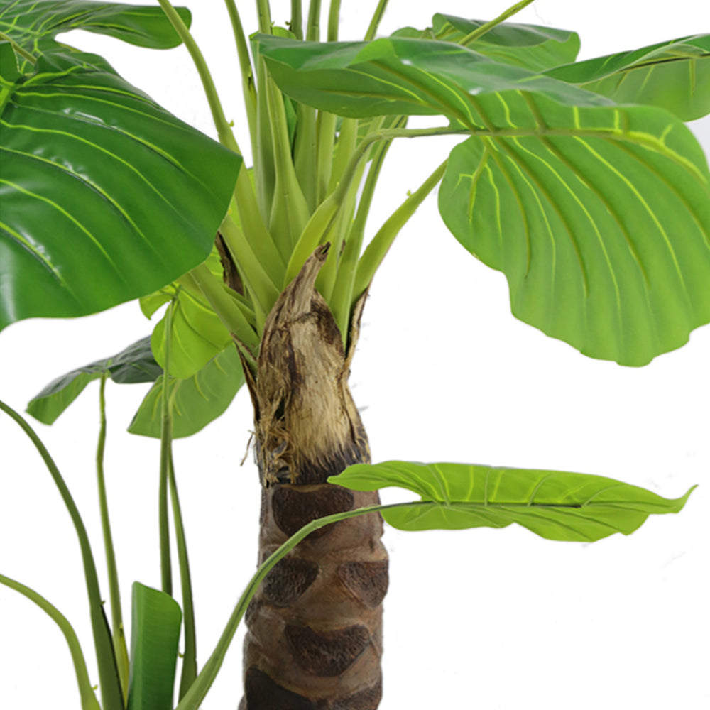 Philodendron Plant (140 cm)
