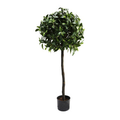 Laurel Ball Tree