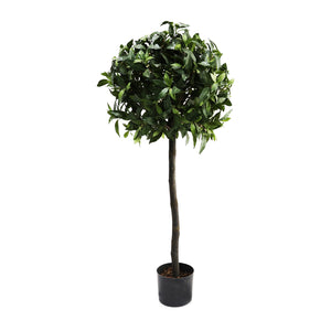 Laurel Ball Tree