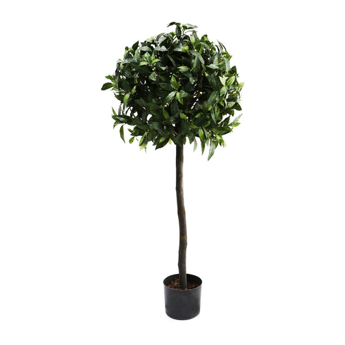 Laurel Ball Tree