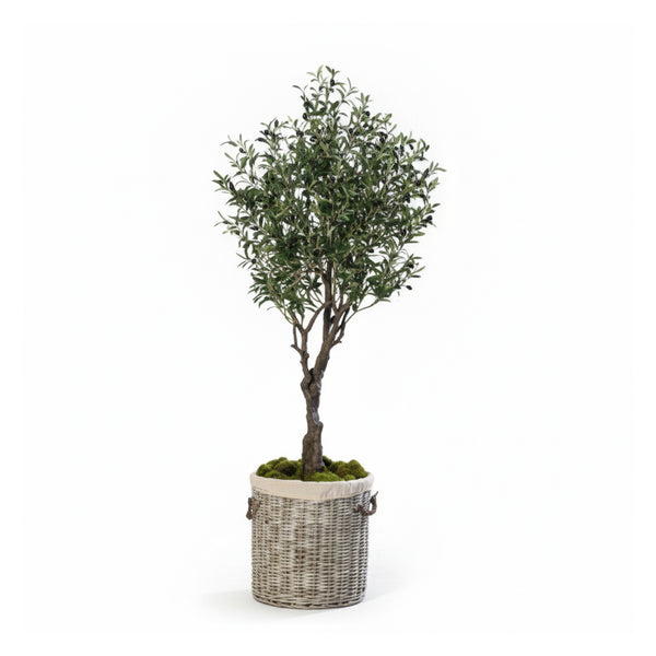 Olive Tree In Pot (190 cm)