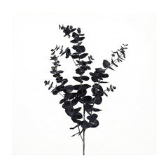Black Eucalyptus Branch (102 cm)