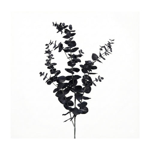 Black Eucalyptus Branch (102 cm)