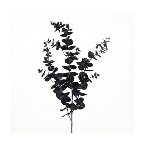 Black Eucalyptus Branch (102 cm)