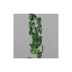 Monstera tendril, 115 cm, 8/48