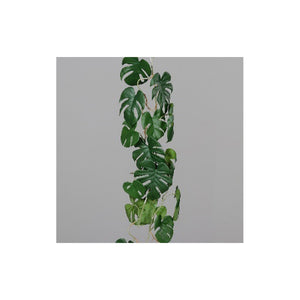 Monstera tendril, 115 cm, 8/48