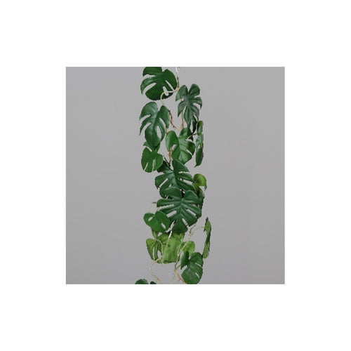 Monstera tendril, 115 cm, 8/48