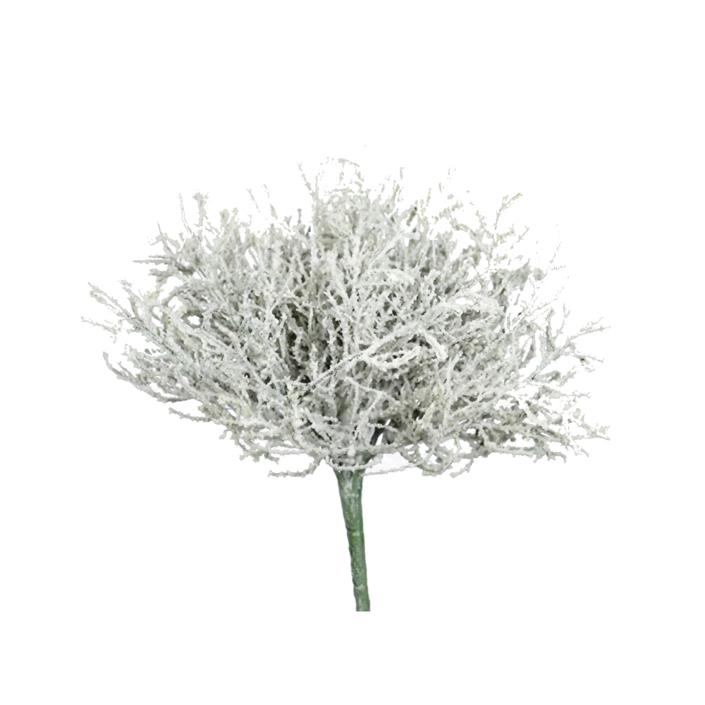 Calocephalus Pick (24 cm)