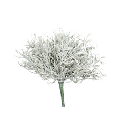 Calocephalus Pick (24 cm)