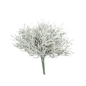 Calocephalus Pick (24 cm)