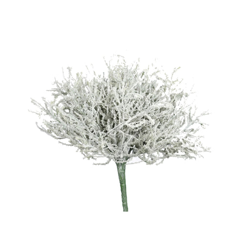 Calocephalus Pick (24 cm)
