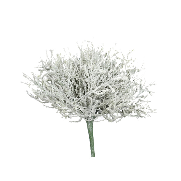 Calocephalus Pick (24 cm)