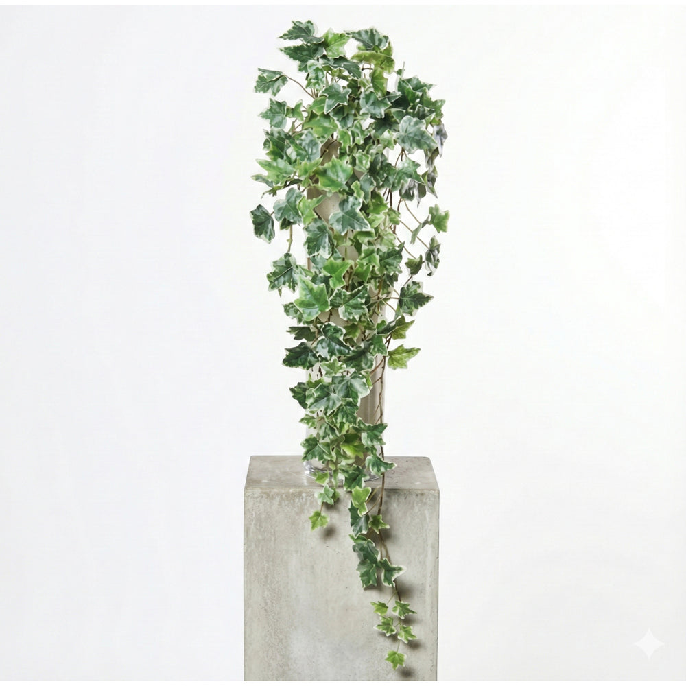 White Green Ivy Hanger (80 cm)