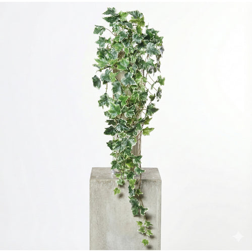 White Green Ivy Hanger (80 cm)