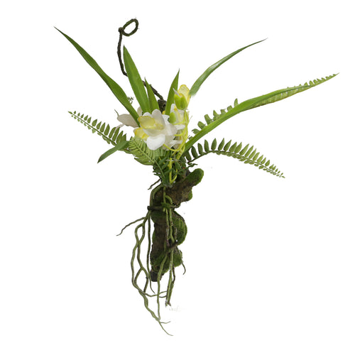 Avatar Orchid (29 cm)