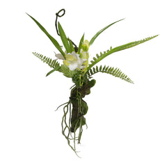 Cymbidium Orchid