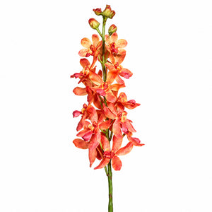 Dendrobium Orchid, 63 cm, peach, 12/72 
Natural Touch