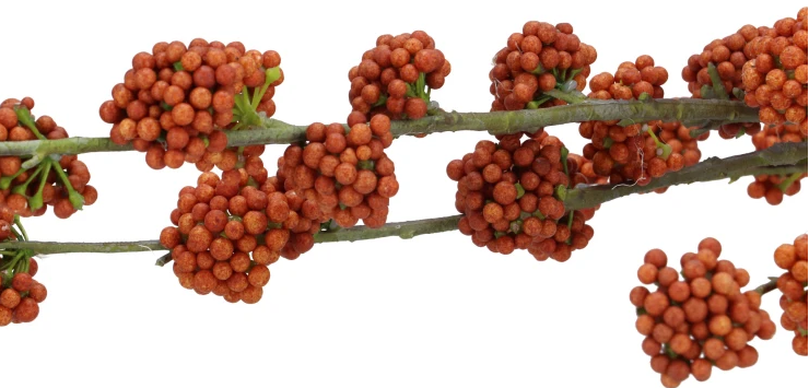 Brown Callicarpa Berry Silk Branch (130 cm)