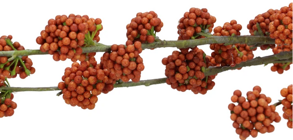 Brown Callicarpa Berry Silk Branch (130 cm)