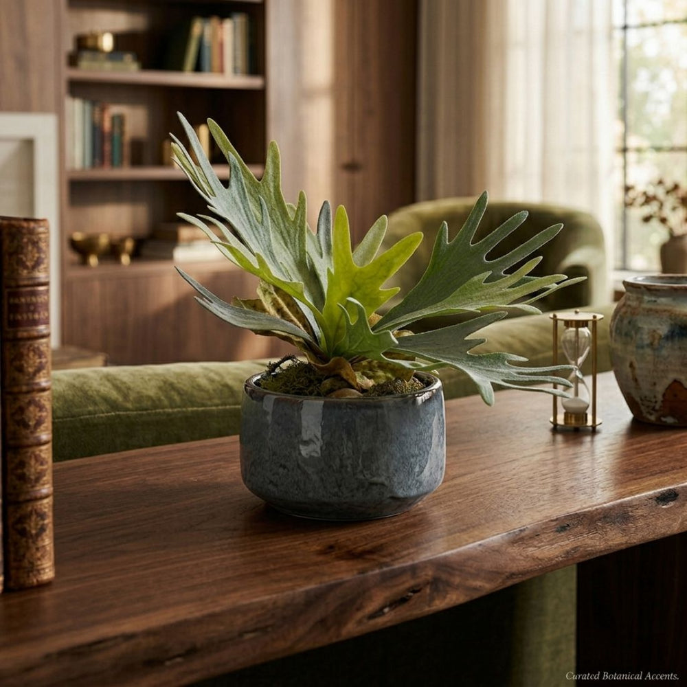 Green Staghorn Fern Plant (36 cm)