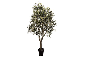 SILK OLIVE TREE GREEN 240CM