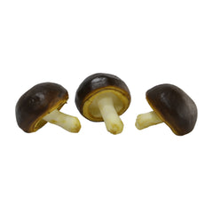 Mushroom set 