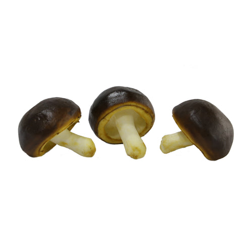 Mushroom set 