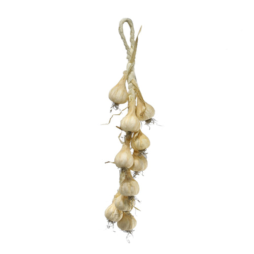 Garlic string