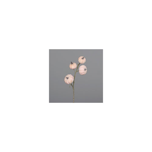 Pumpkin branch with four fruits, 63 cm, light-Rose e, 16/96