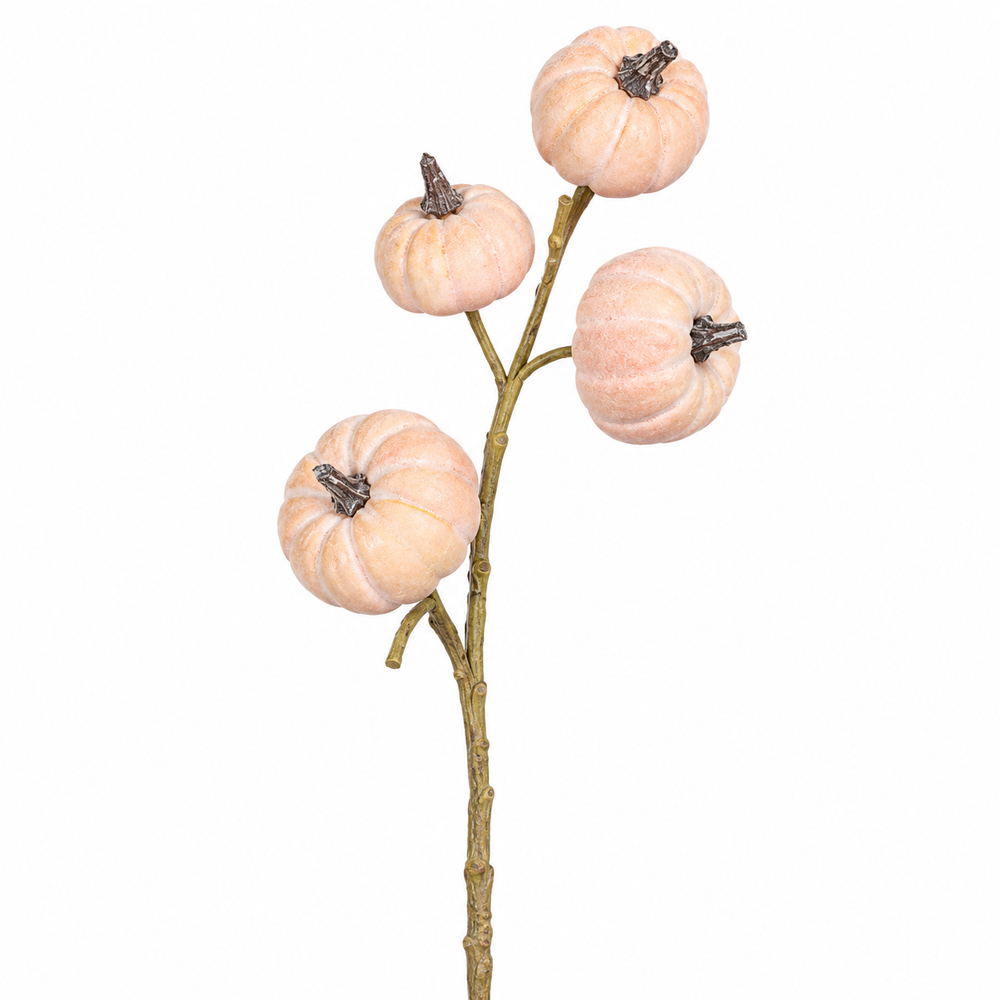 Pumpkin branch with four fruits, 63 cm, light-Rose e, 16/96