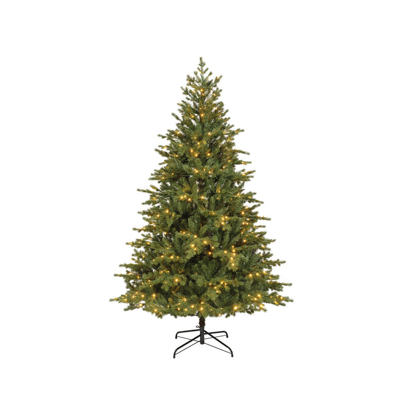 Rumford fir LED indoor D 137 cm x H 240 cm