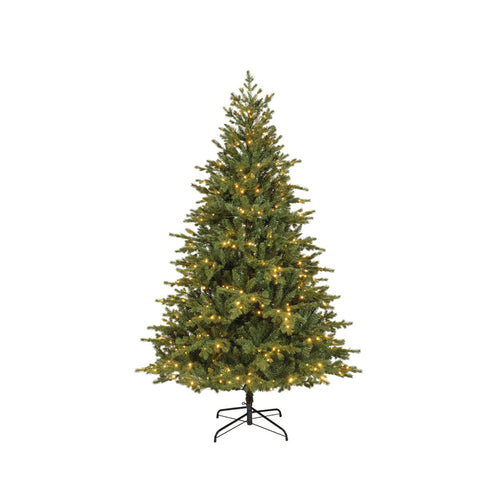 Rumford fir LED indoor D 137 cm x H 240 cm