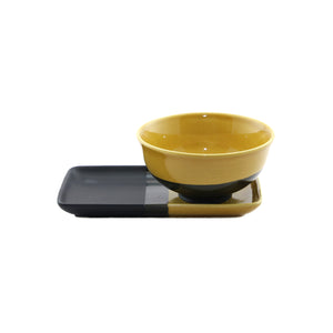 Rectangular Dish In 2 Colours