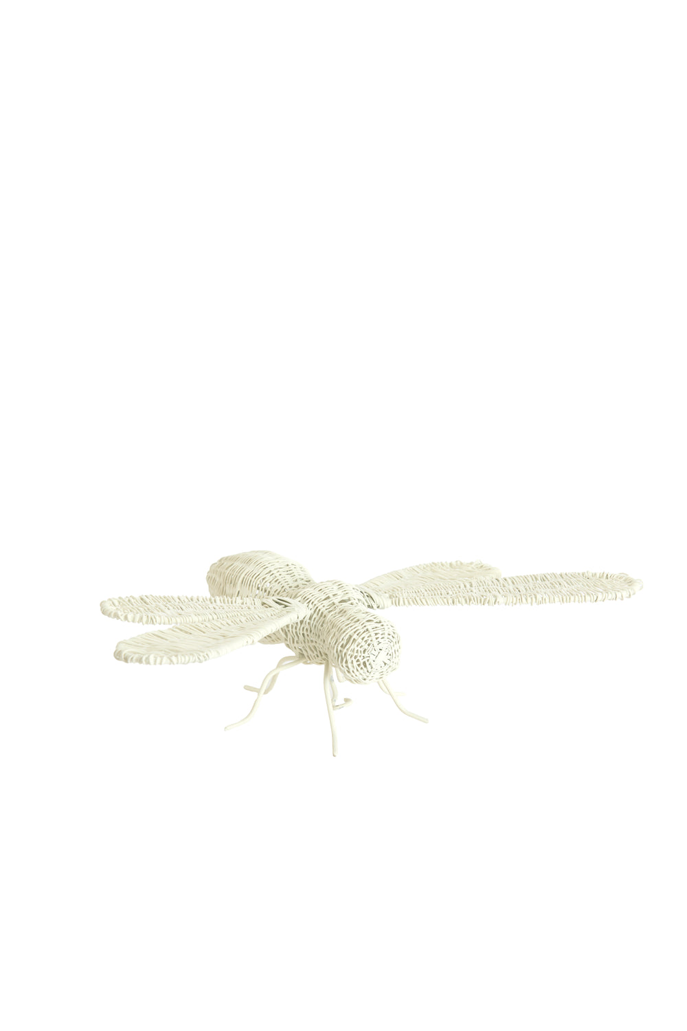 Ornament 24x14,5x5,5 cm CICADA cream