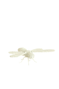 Ornament 24x14,5x5,5 cm CICADA cream