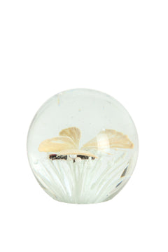 Ornament Ø8x8 cm BUTTERFLY glass cream