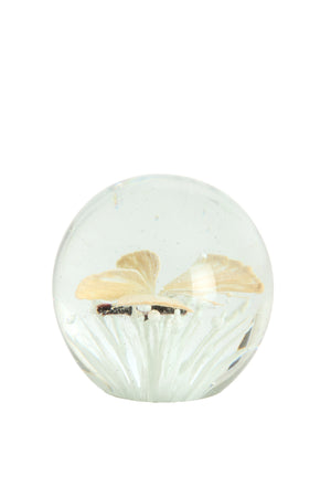 Ornament Ø8x8 cm BUTTERFLY glass cream
