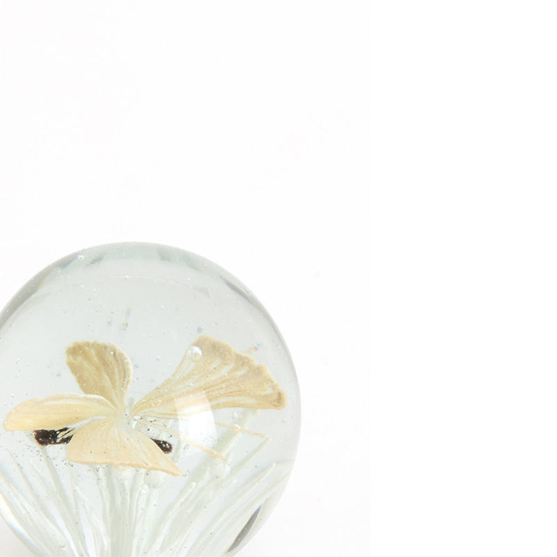 Ornament Ø8x8 cm BUTTERFLY glass cream
