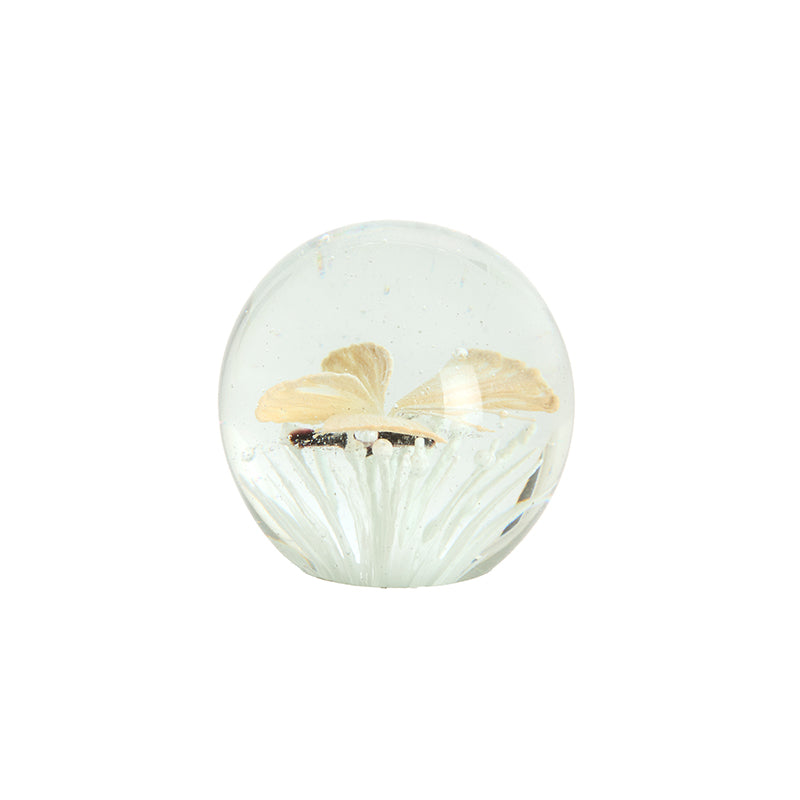 Ornament Ø8x8 cm BUTTERFLY glass cream